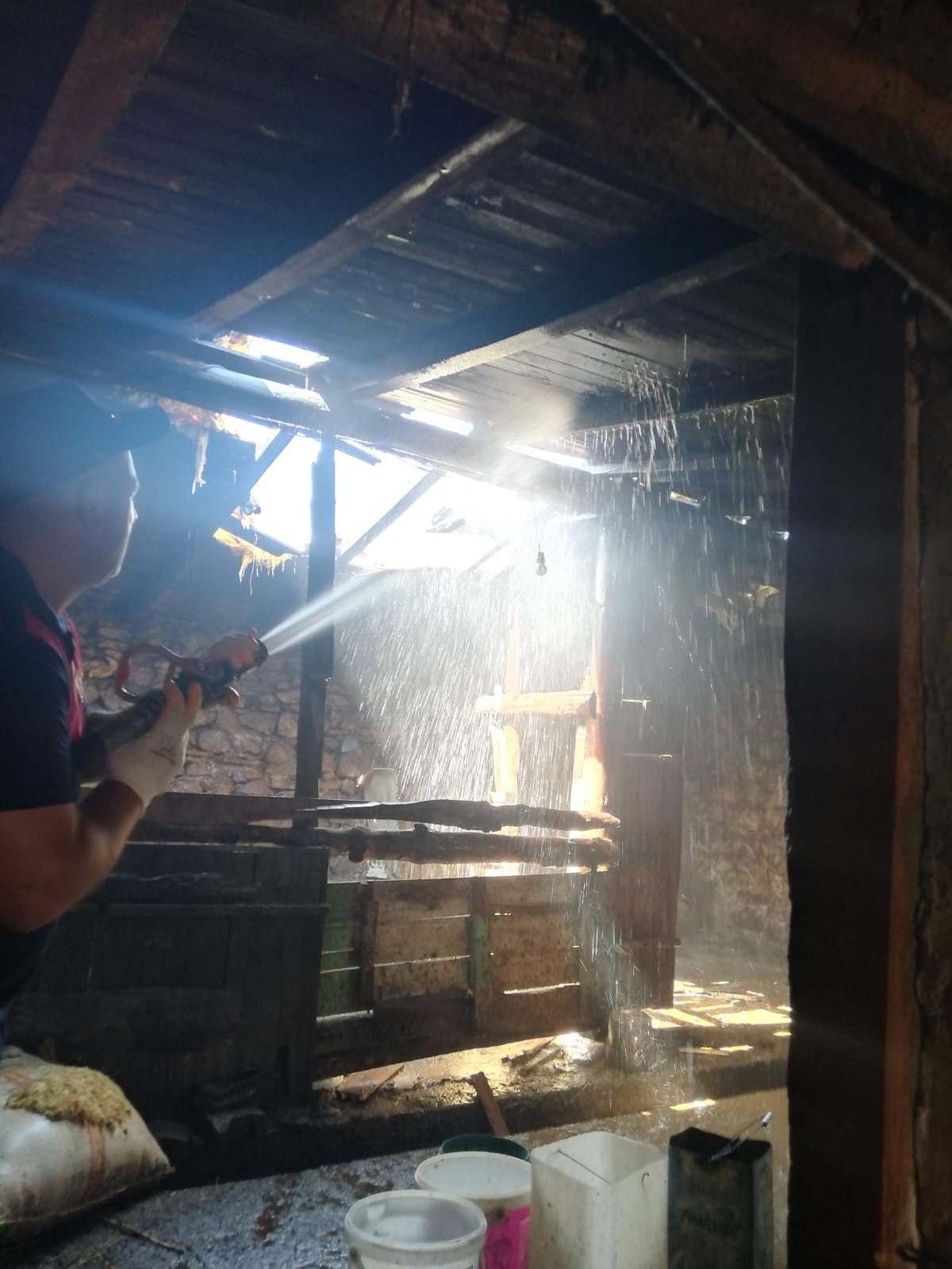 Ağrı’da ahırda çıkan yangında 3 inek telef oldu