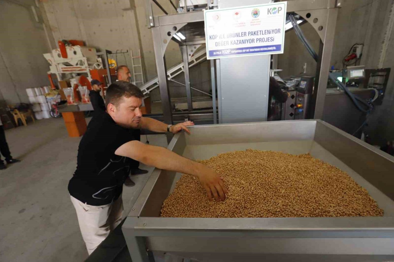 Aksaray Belediyesinin ürettiği nohutlar ihtiyaç sahibi ailelere dağıtılacak