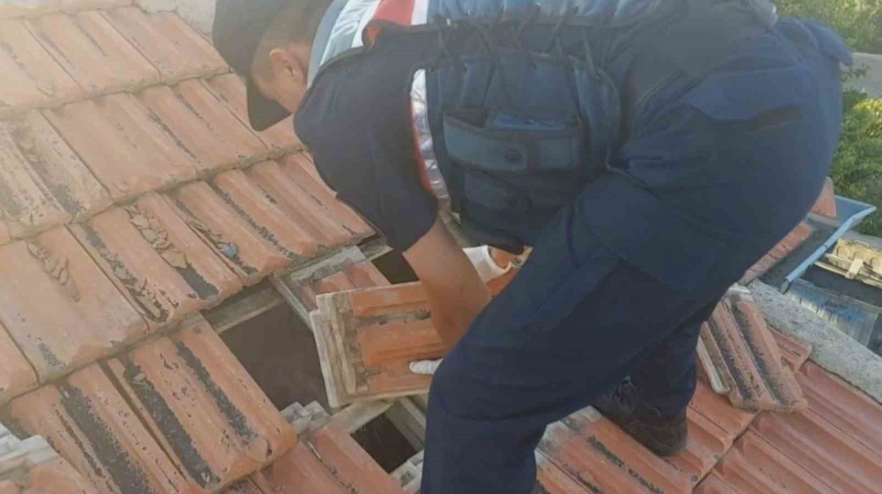 Kiremit altındaki gizli bölmede esrar ve kenevir çıktı