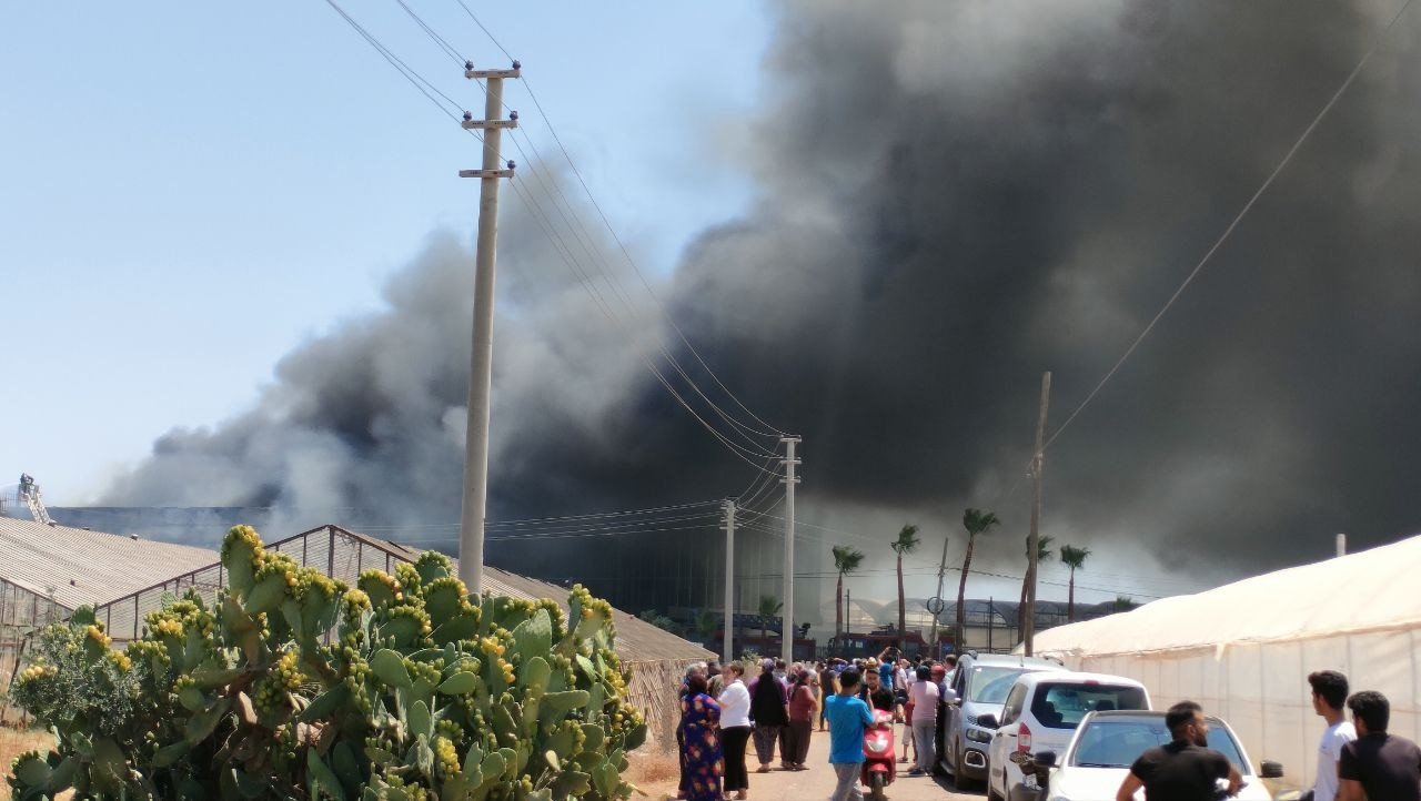 Antalya’da çiçek işleme tesisinde yangın
