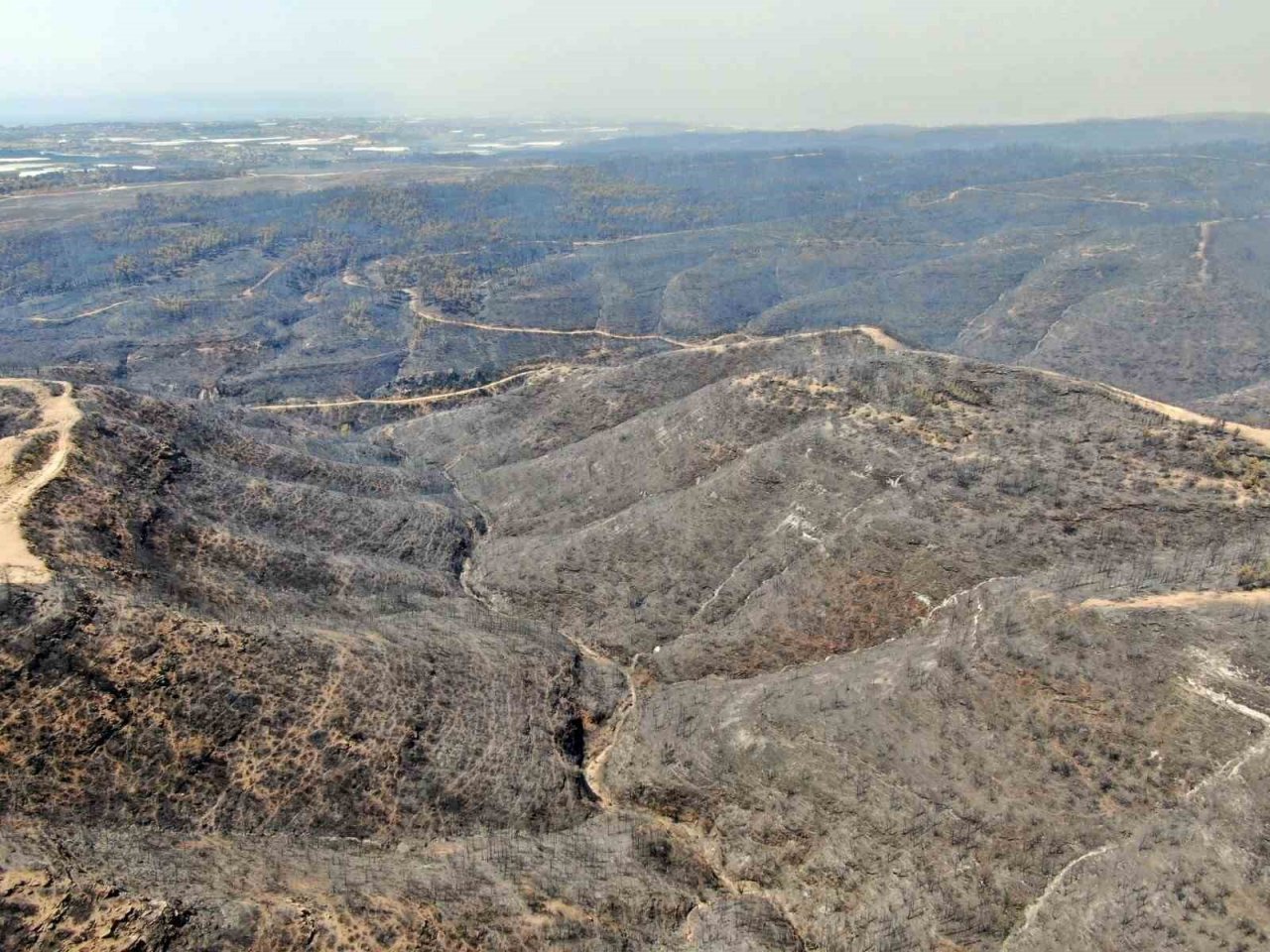 Manavgat orman yangınında zarar gören bölgelere 5 milyon fidan ekildi, 153 ton tohum toprakla buluşturuldu