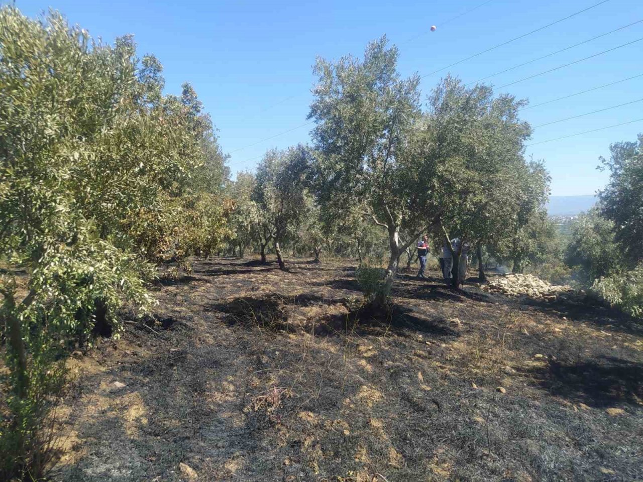 Aydın Büyükşehir Belediyesi İtfaiyesi’nin hızlı müdahalesi faciayı önledi