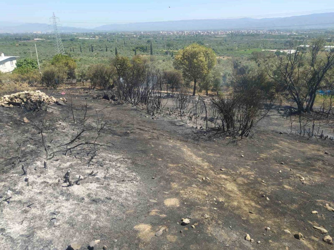 Aydın Büyükşehir Belediyesi İtfaiyesi’nin hızlı müdahalesi faciayı önledi