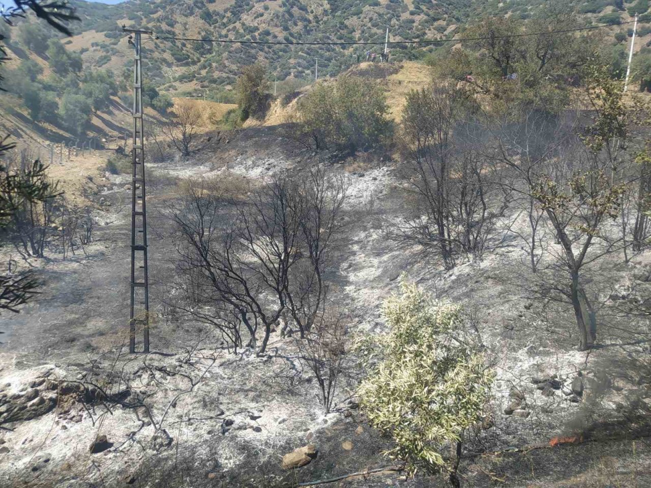 Aydın Büyükşehir Belediyesi İtfaiyesi’nin hızlı müdahalesi faciayı önledi