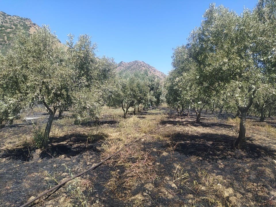Aydın Büyükşehir Belediyesi İtfaiyesi’nin hızlı müdahalesi faciayı önledi