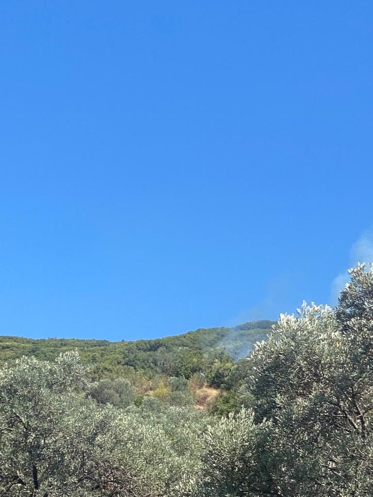 Didim’de makilik ve zeytinlik yangını korkuttu