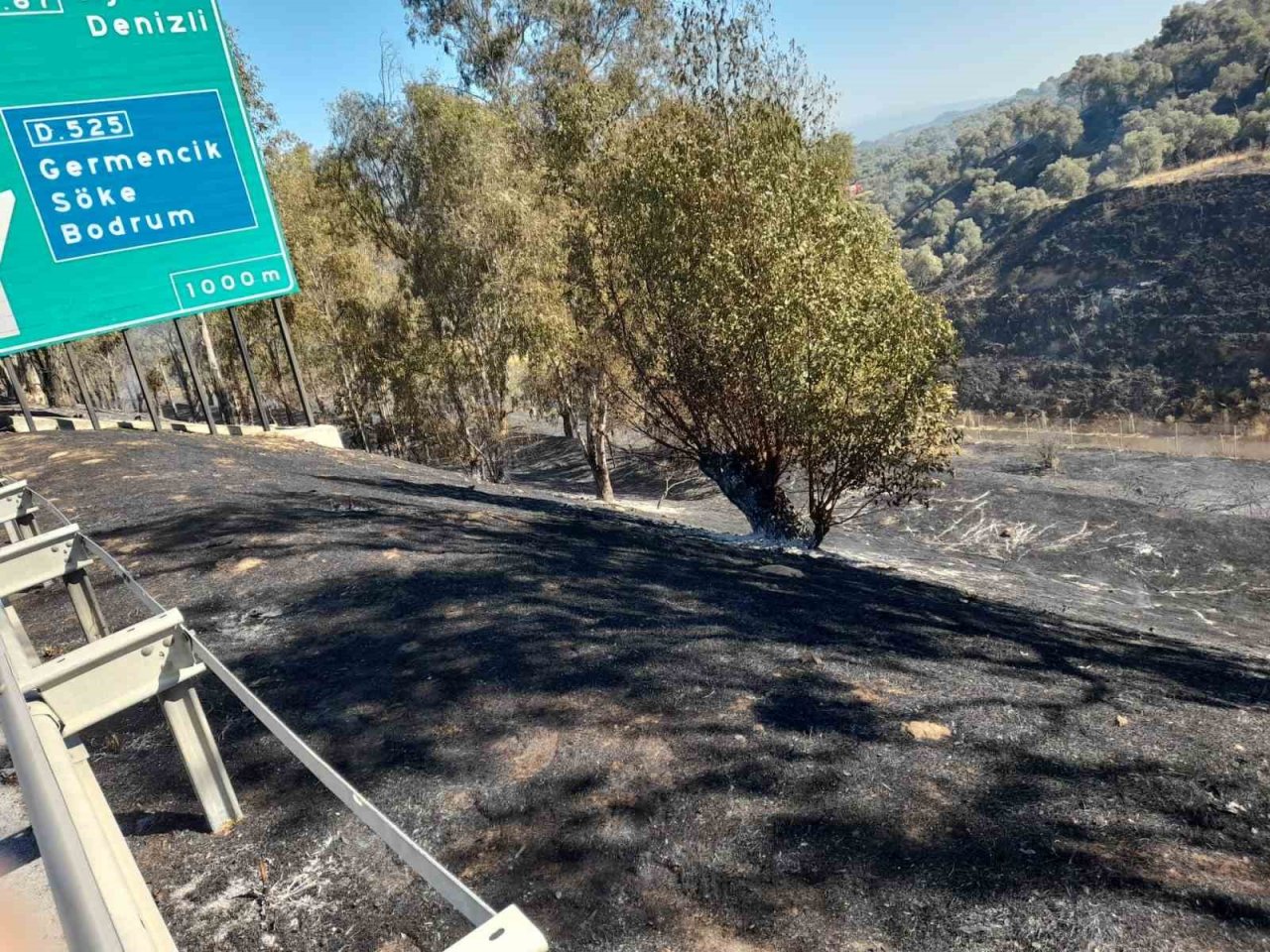 Aydın’da 1 günde 5 büyük yangın meydana geldi