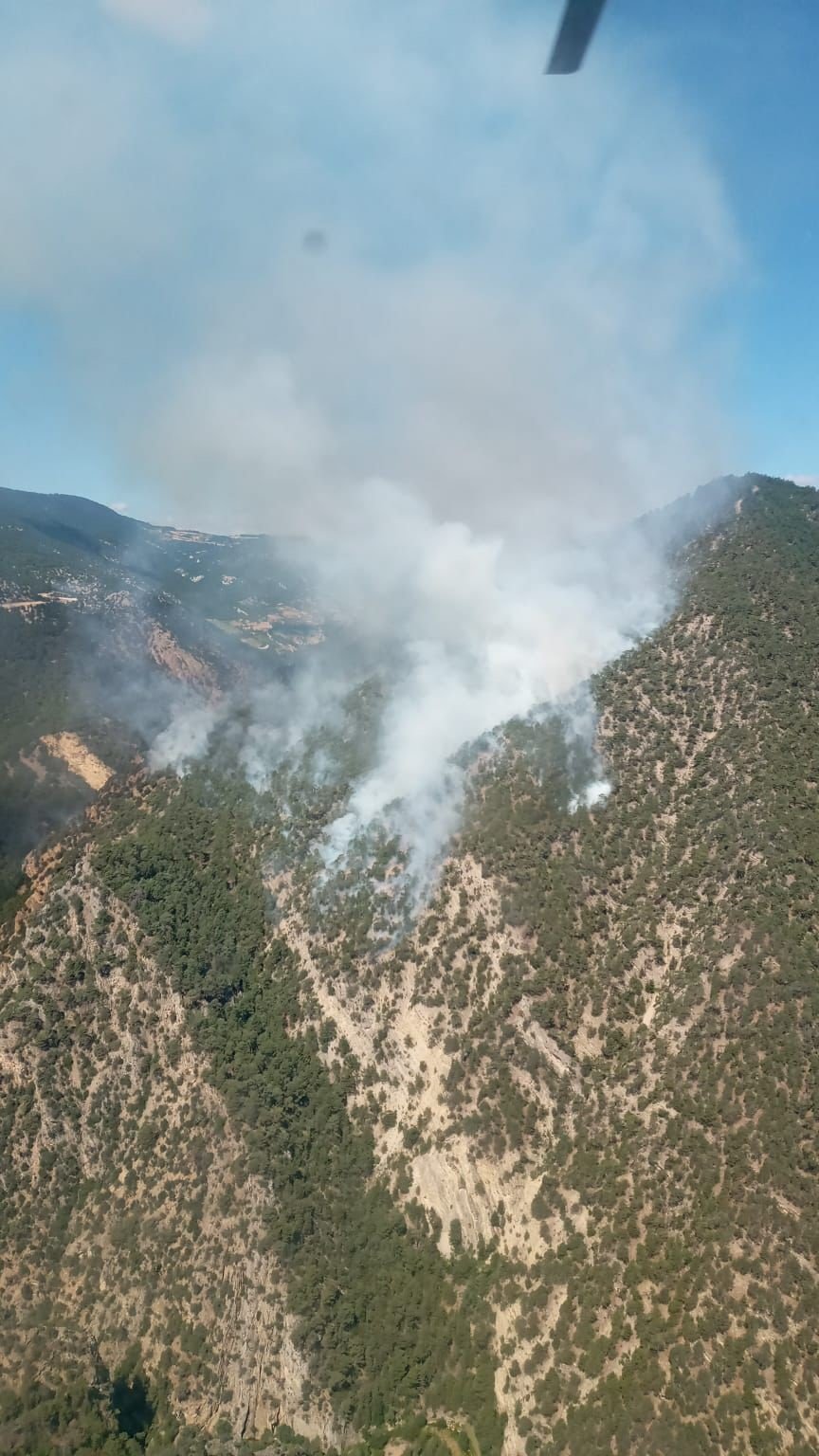 Bolu’da söndürülemeyen orman yangınına Ankara ve Balıkesir’den helikopter desteği