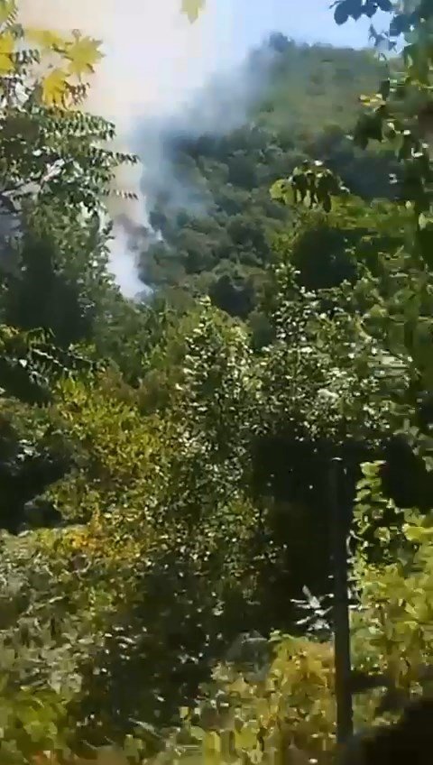 Bursa’daki orman yangınına havadan ve karadan müdahale ediliyor