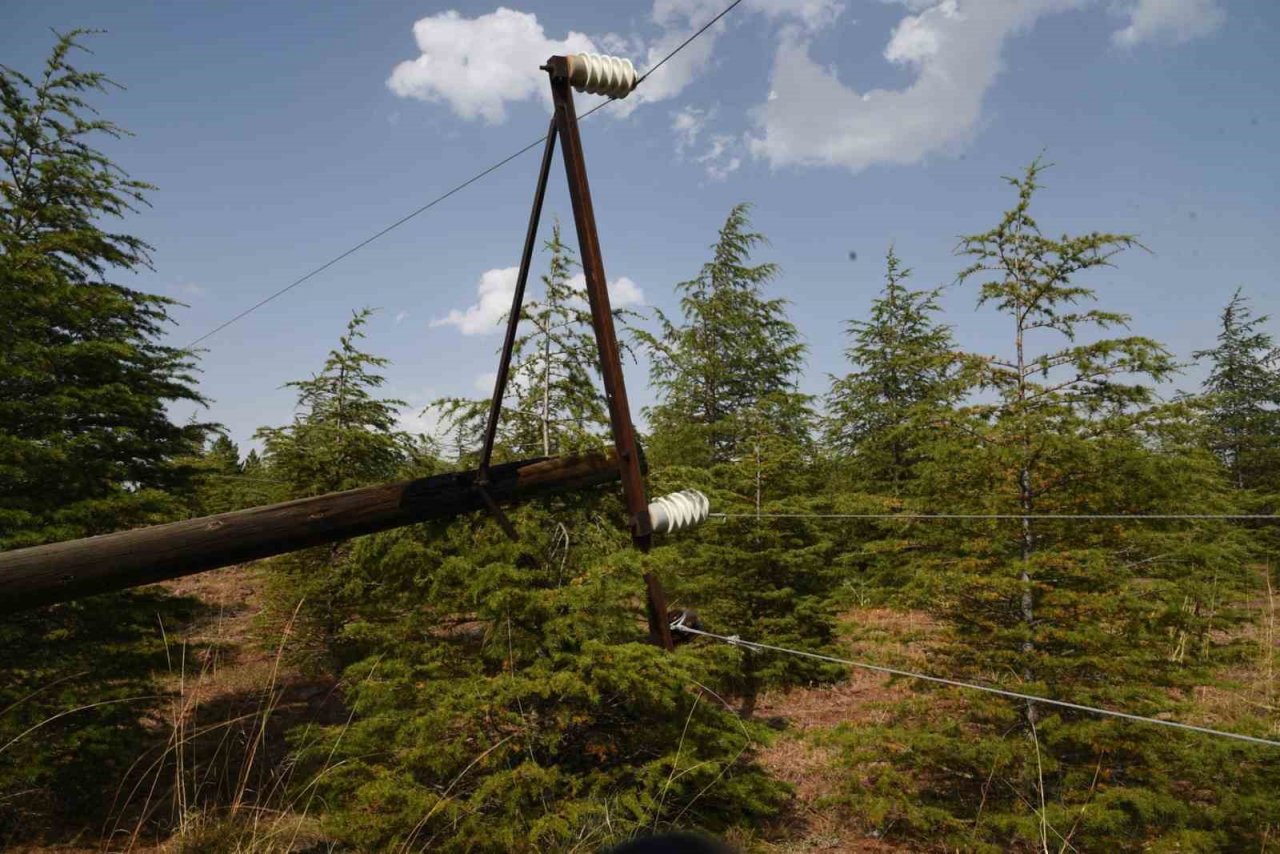 Orman yangını büyümeden söndürüldü