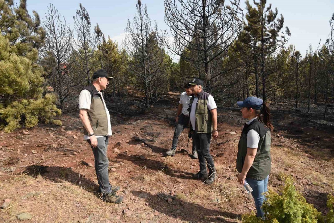 Orman yangını büyümeden söndürüldü