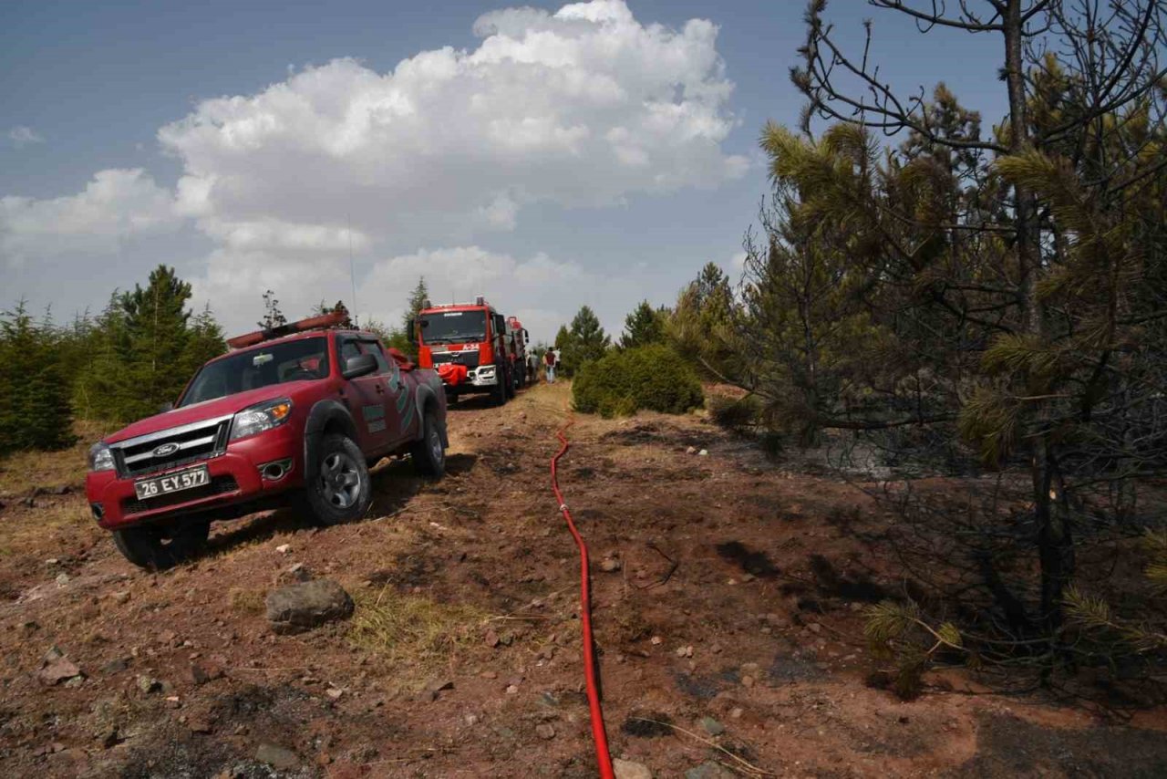 Orman yangını büyümeden söndürüldü