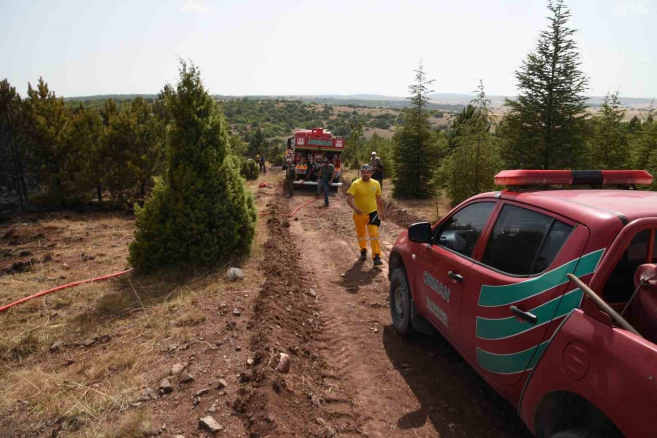 Orman yangını büyümeden söndürüldü