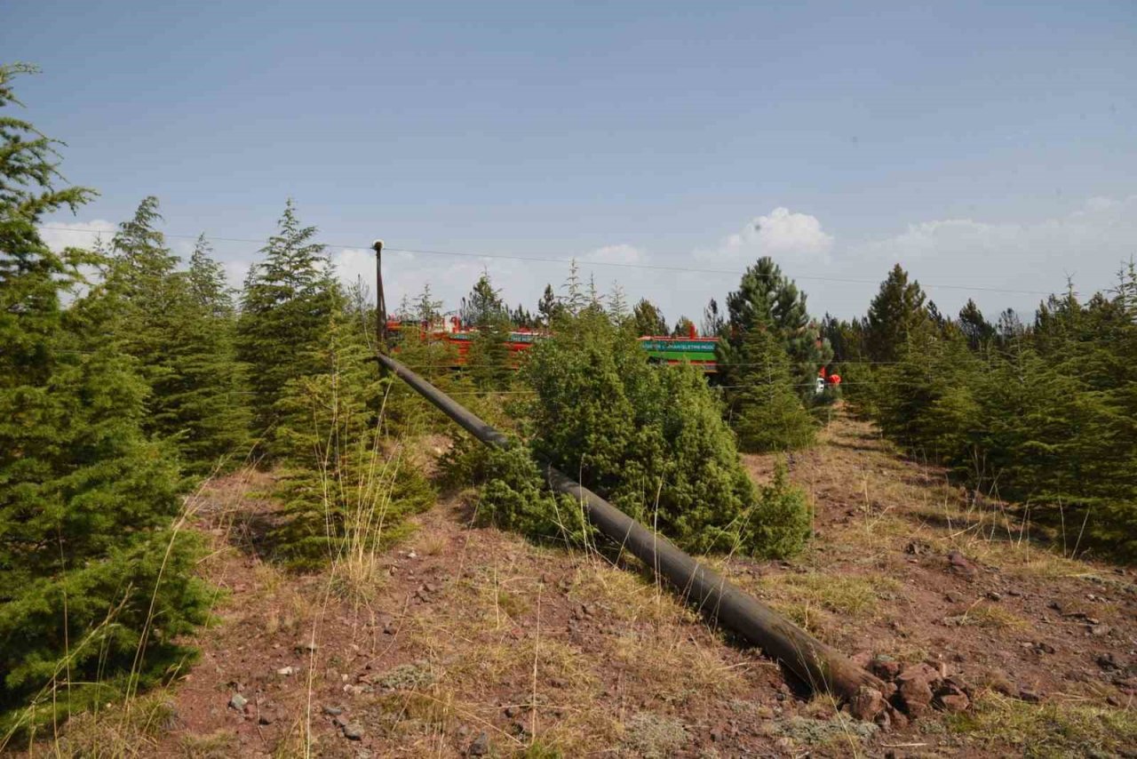 Orman yangını büyümeden söndürüldü