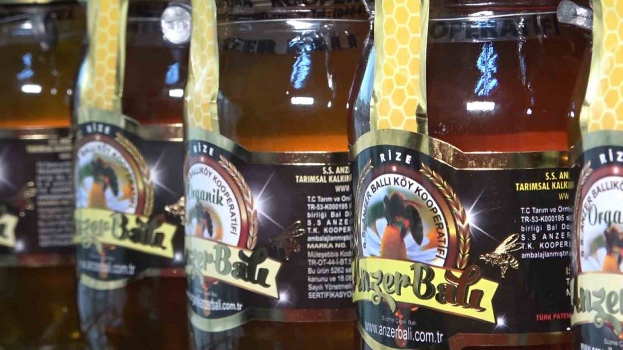 Dünyaca ünlü Anzer balının fiyatı arttı