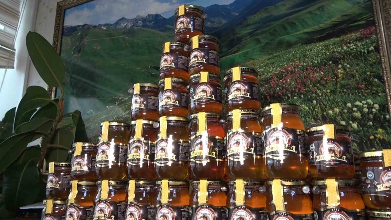 Dünyaca ünlü Anzer balının fiyatı arttı