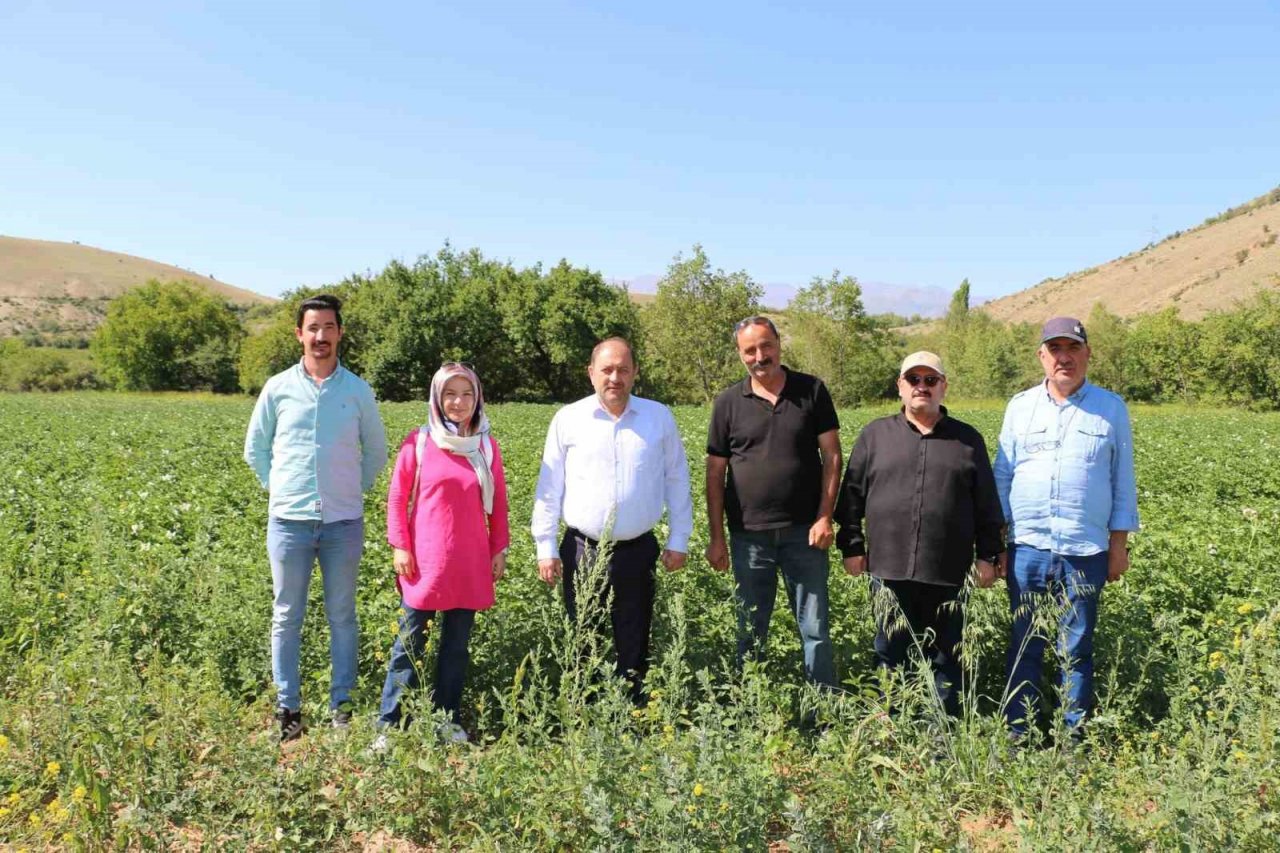 Erzincan’da patates üretimi devlet eliyle yaygınlaşıyor