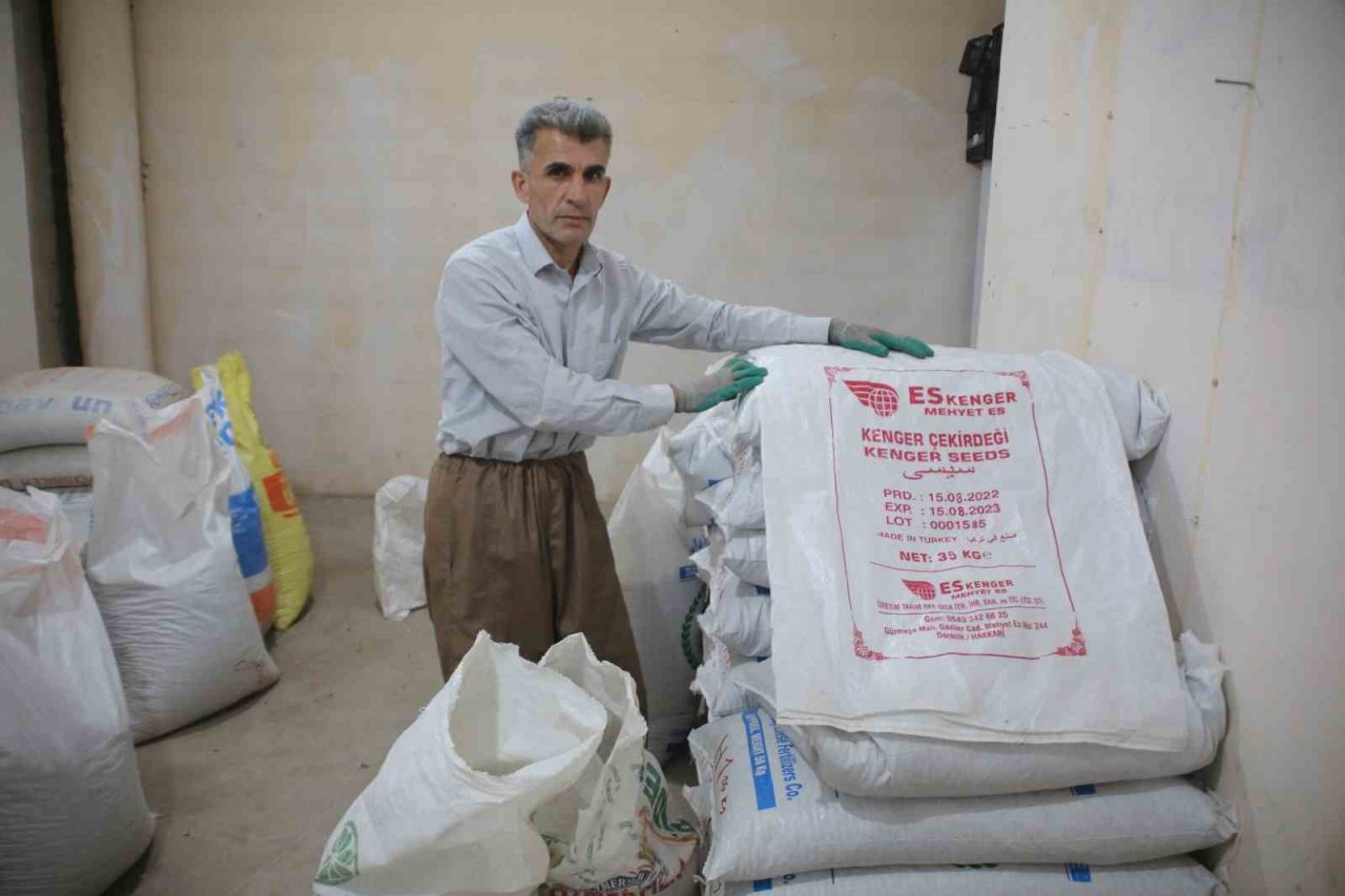 Kenger bitkisinden kentin ekonomisine 2 milyon dolar katkı