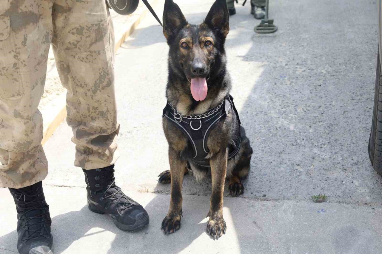 İDEF’te Jandarmadan mayın tatbikatı