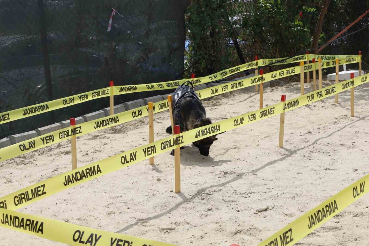 İDEF’te Jandarmadan mayın tatbikatı