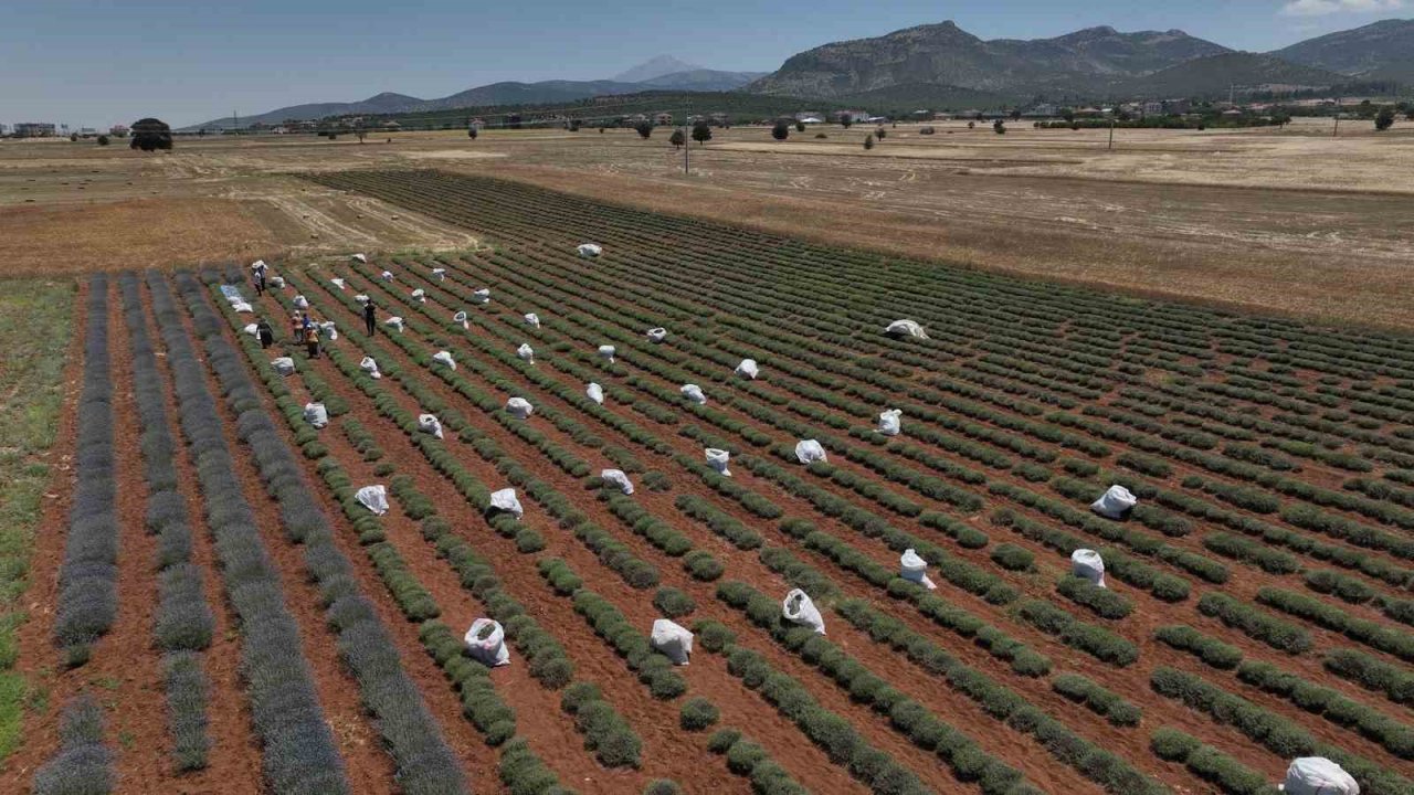 Başkan Altay: "Çiftçimizin yanında olmaya devam edeceğiz"