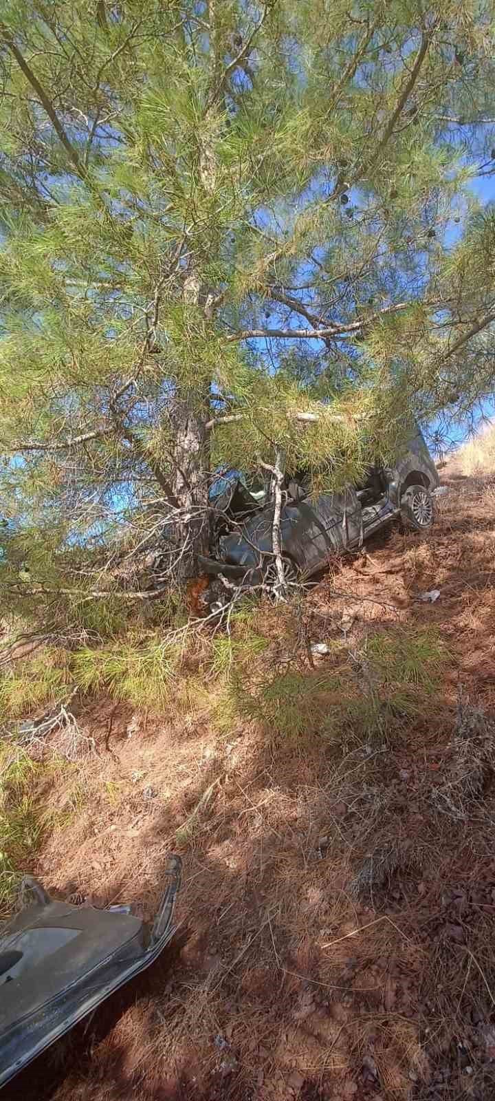 Uçuruma düşen araç, ağaca çarparak durdu
