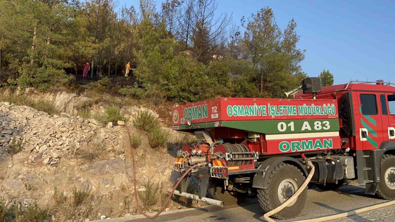 Osmaniye’de çıkan orman yangını kısa sürede söndürüldü