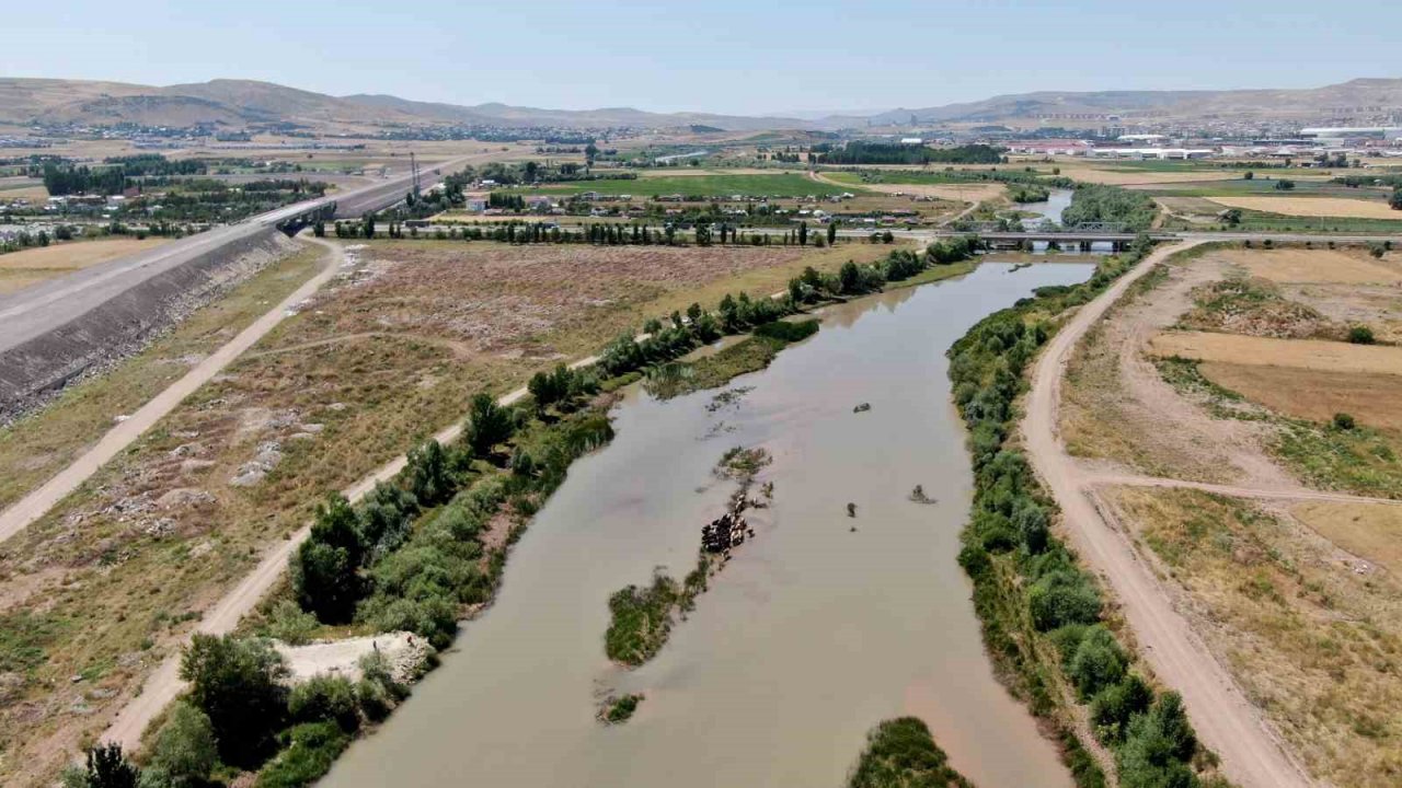 Sivas’taki bu görüntüler Serengeti’yi aratmıyor