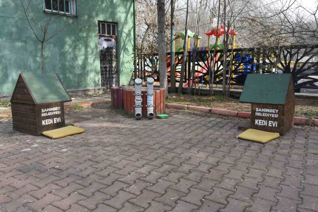 Sokak hayvanları için su çağrısı