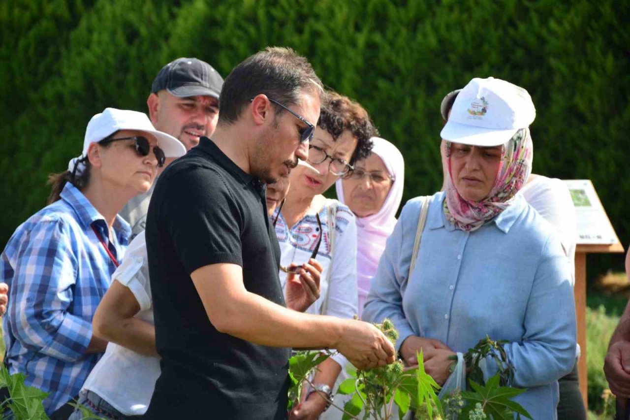 Balıkesir’de bahçıvanlık kursuna kadınlardan yoğun ilgi
