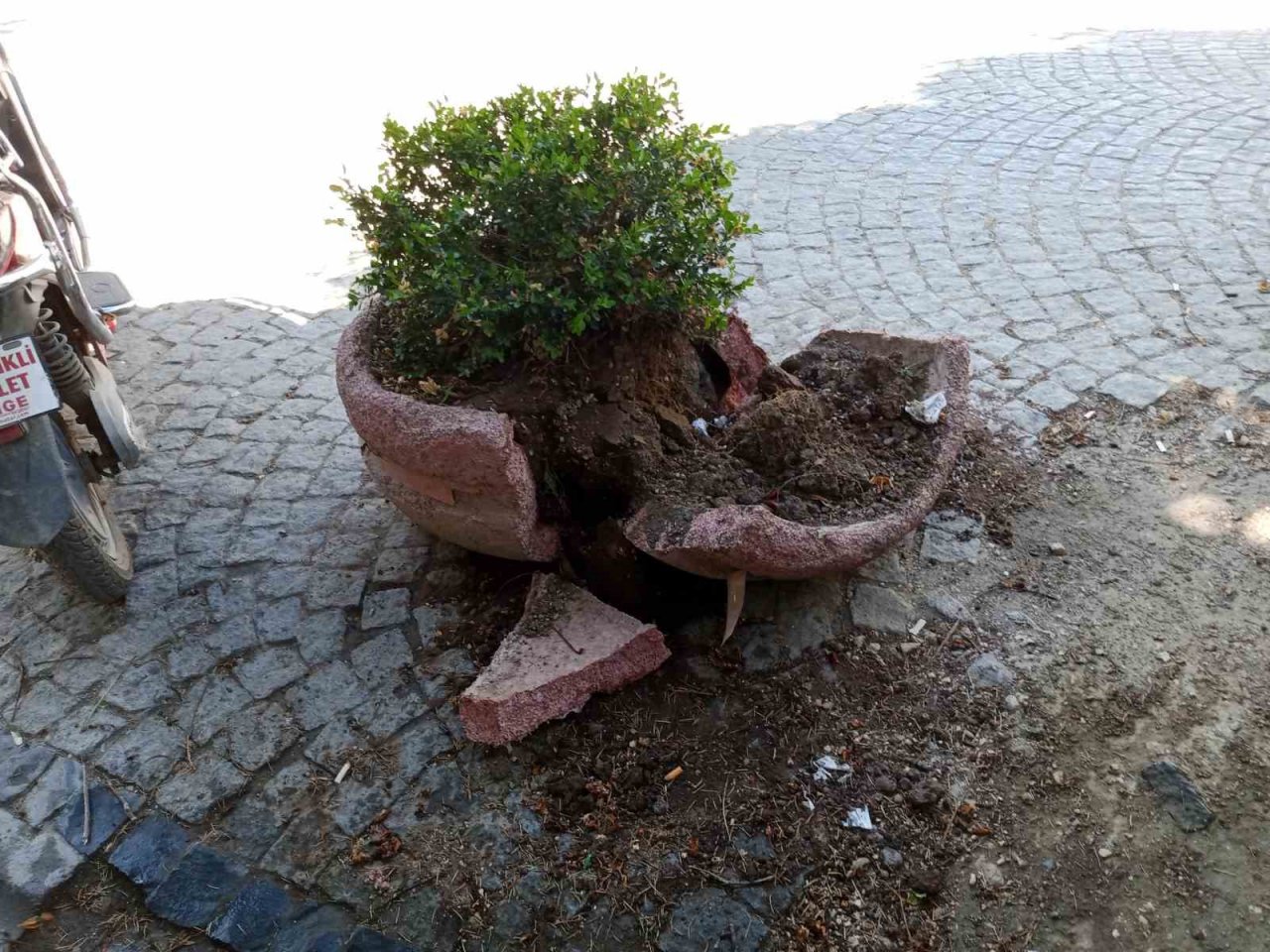 Eskişehir’de dikkatsiz sürücü aracını park ederken beton saksıyı kırdı