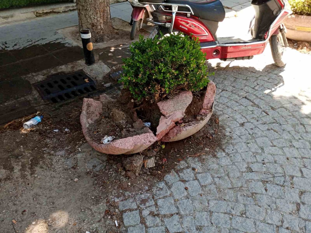Eskişehir’de dikkatsiz sürücü aracını park ederken beton saksıyı kırdı