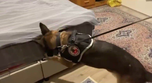 İzmir’de 7 adrese eş zamanlı uyuşturucu baskını: 4 tutuklama