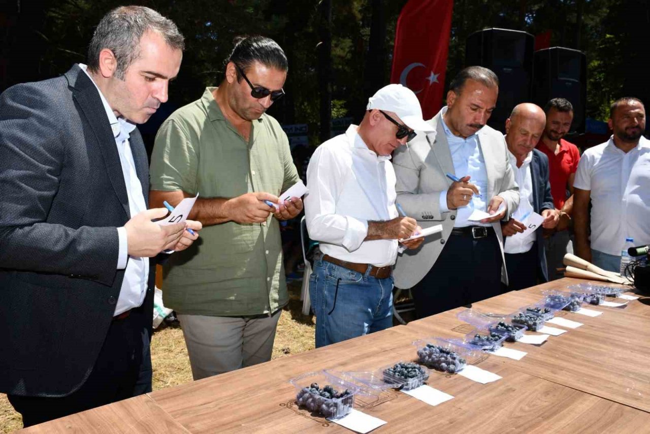 Jüri en iyi maviyemişi seçmekte zorlandı