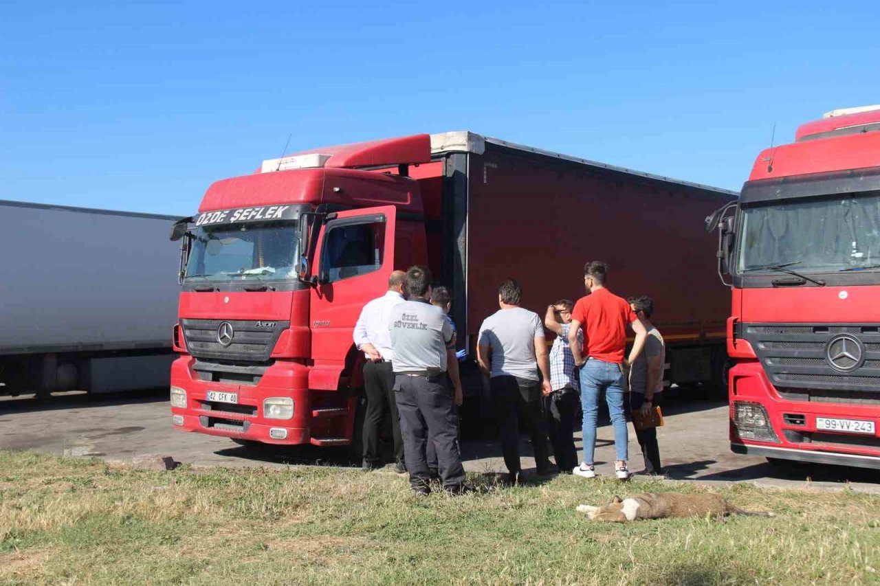 Tır sürücüsü direksiyon başında ölü bulundu