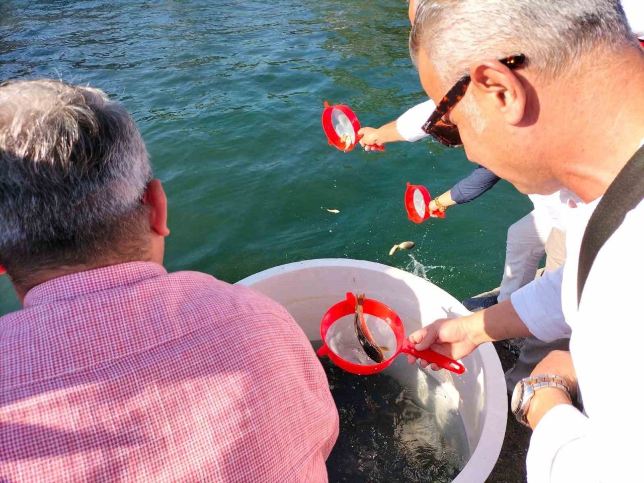 Köyceğiz’de 318 bin yavru sazan balığı sulara bırakıldı