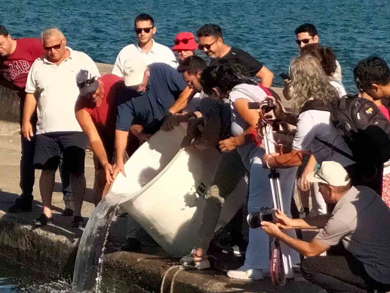 Köyceğiz’de 318 bin yavru sazan balığı sulara bırakıldı