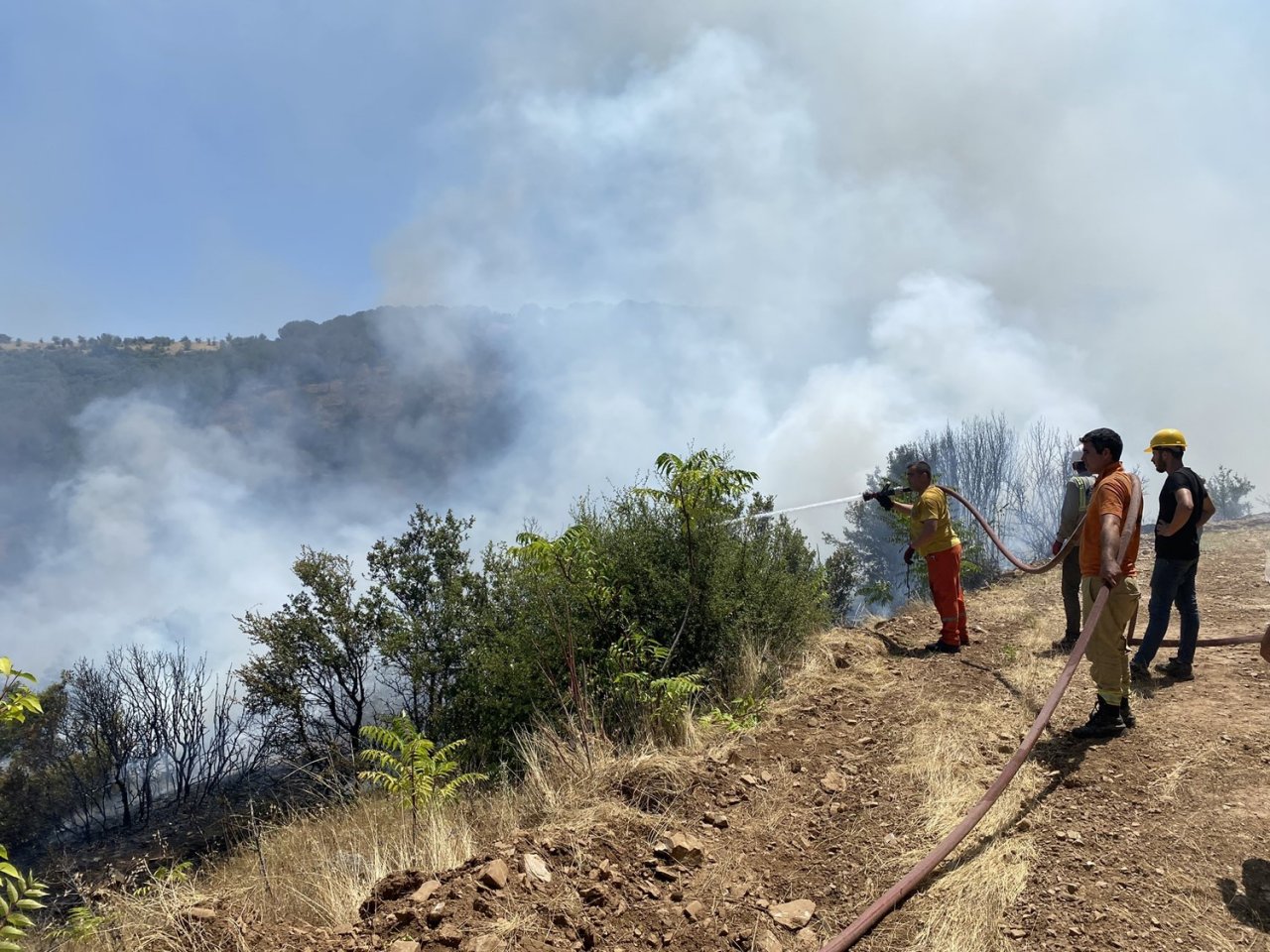 Manisa’da makilik alanda yangın