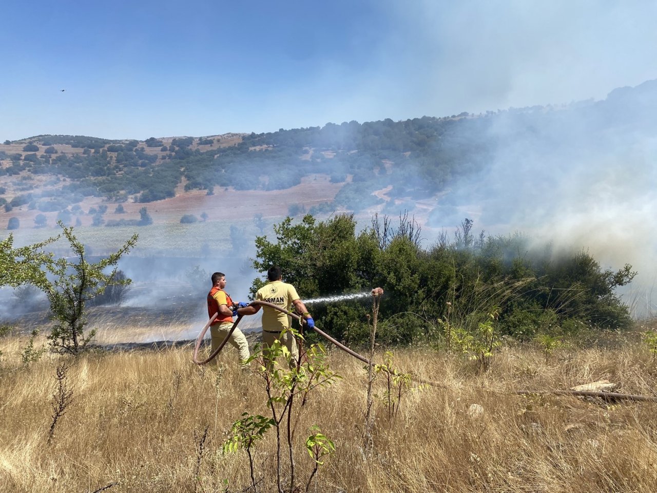 Manisa’da makilik alanda yangın