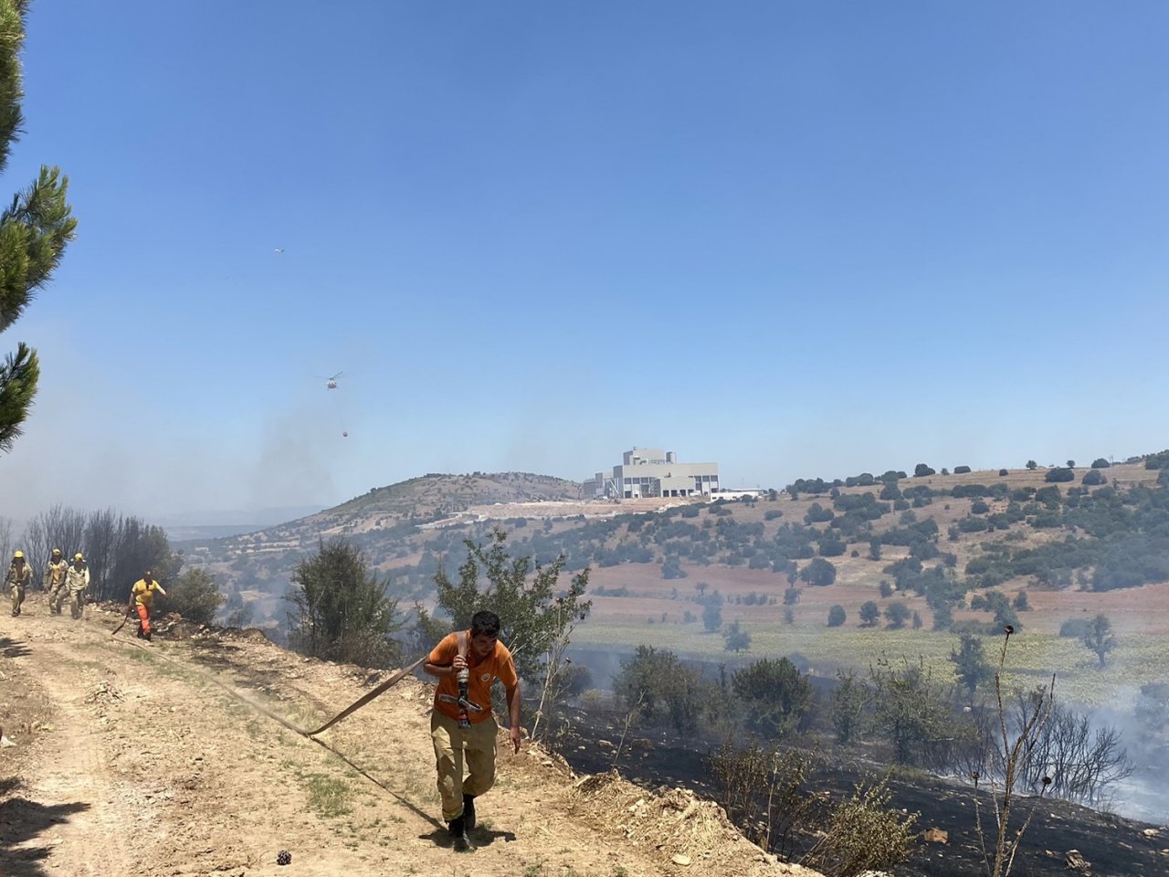Manisa’da makilik alanda yangın