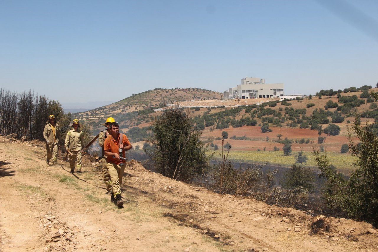 Manisa’da makilik alanda yangın
