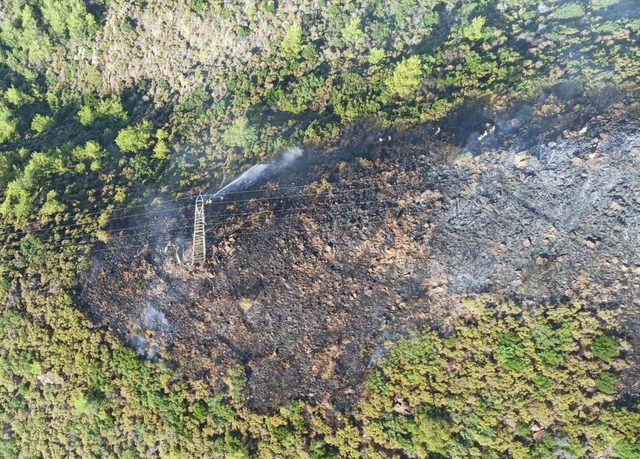 Marmaris orman yangını ile uyandı