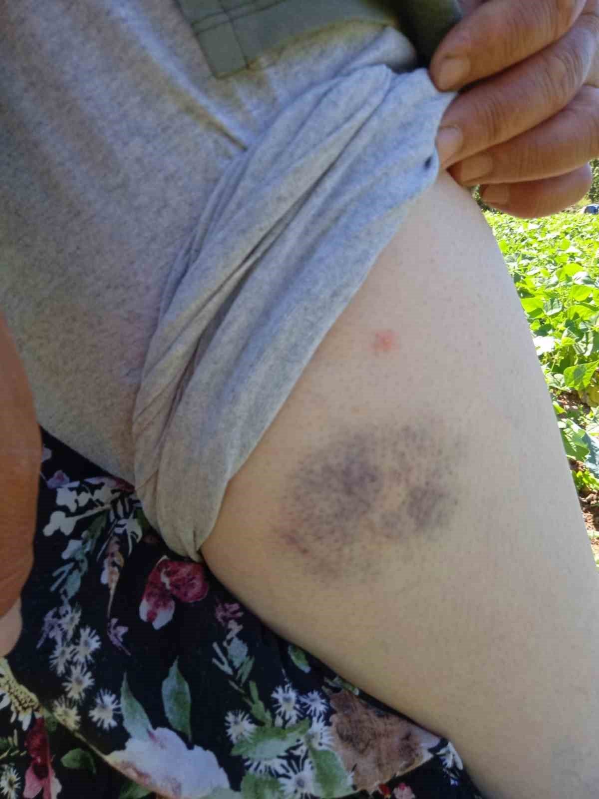 Akrabaların hayvan gübresi dökme kavgası cep telefonuna yansıdı