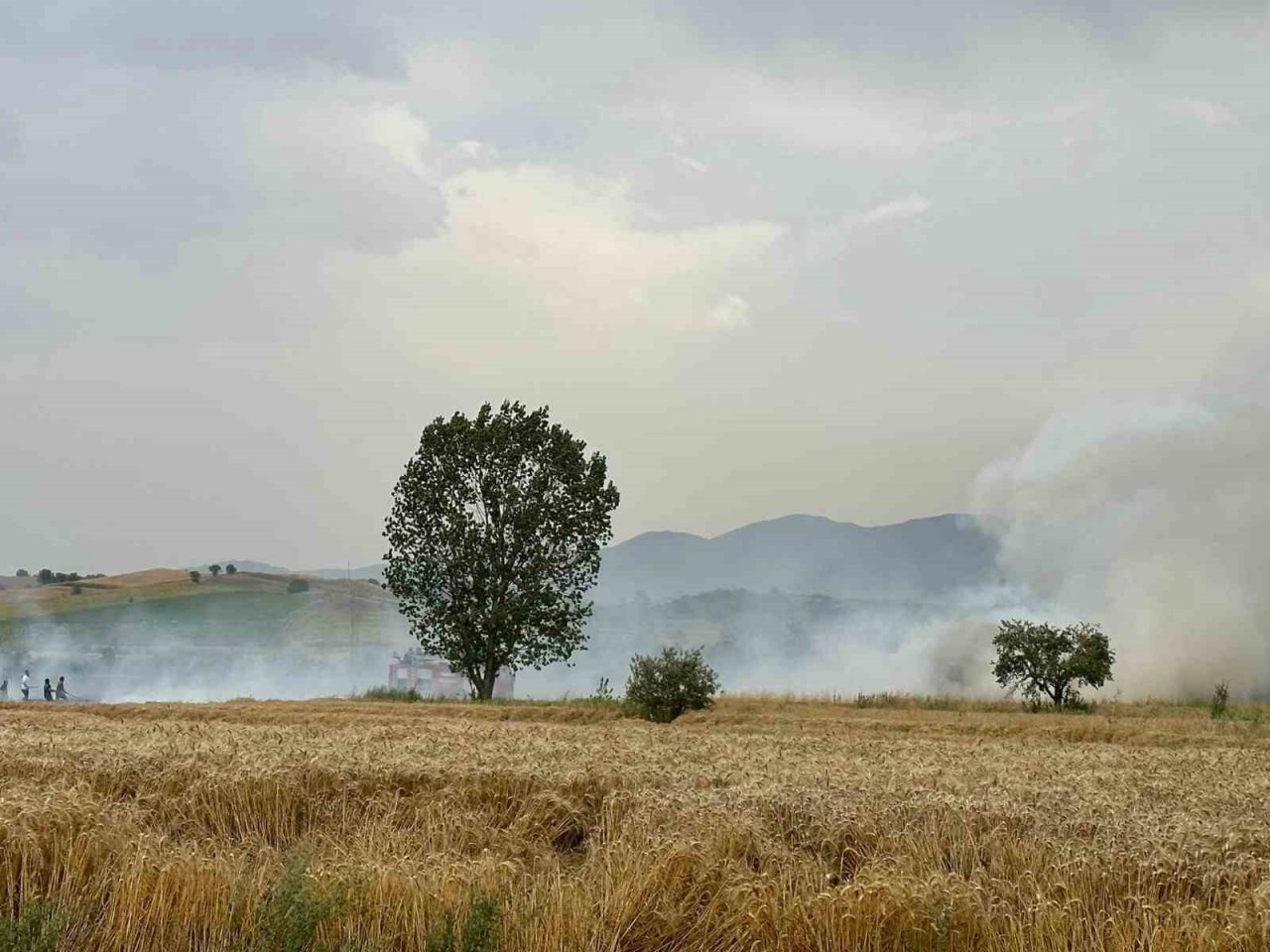 Yenipazar’da ekin tarlarında peş peşe yangın