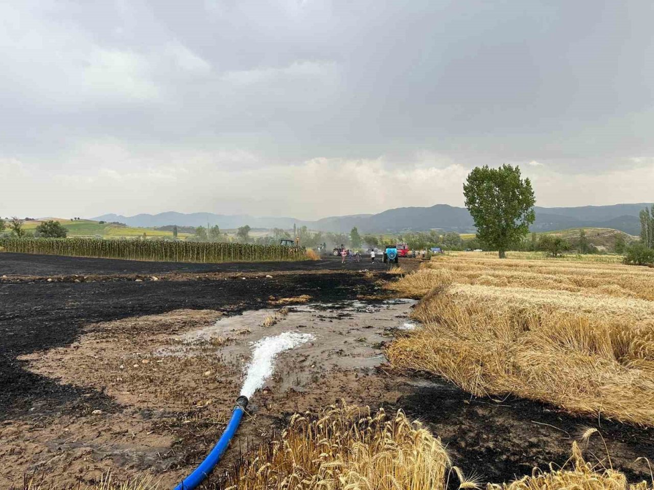 Yenipazar’da ekin tarlarında peş peşe yangın
