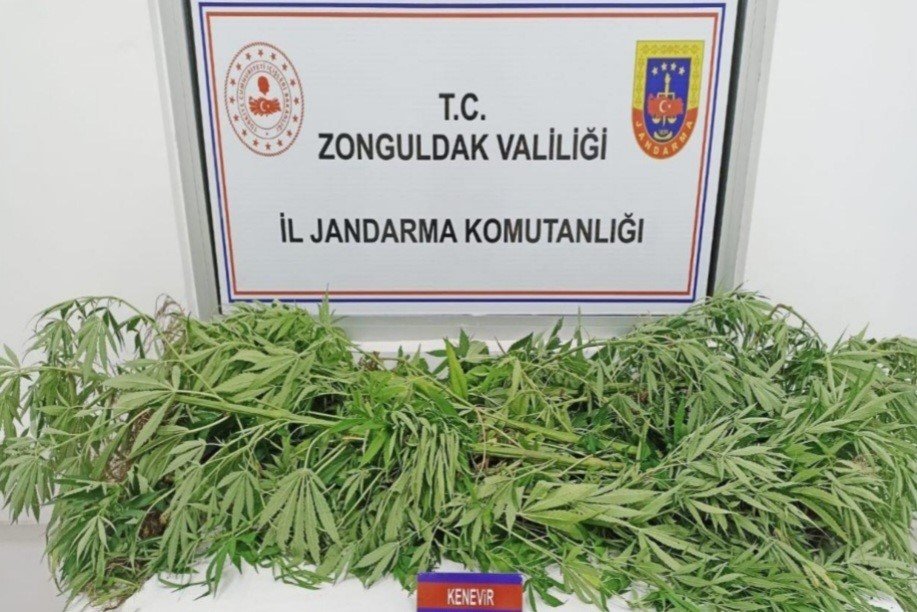 Jandarmadan uyuşturucu operasyonu; 1 tutuklu