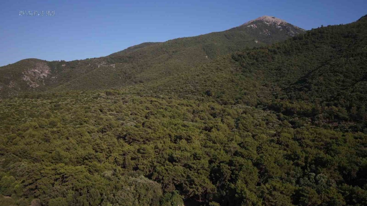 Milli park dronlar ile korunuyor