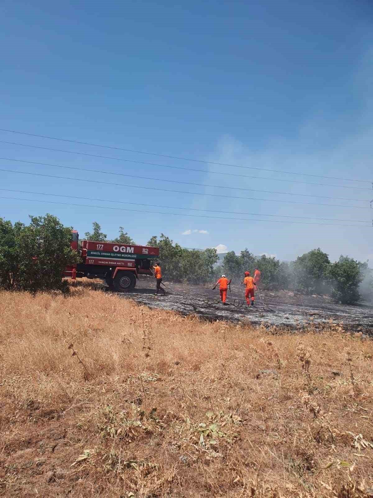 Bingöl’de çıkan orman yangını büyümeden söndürüldü