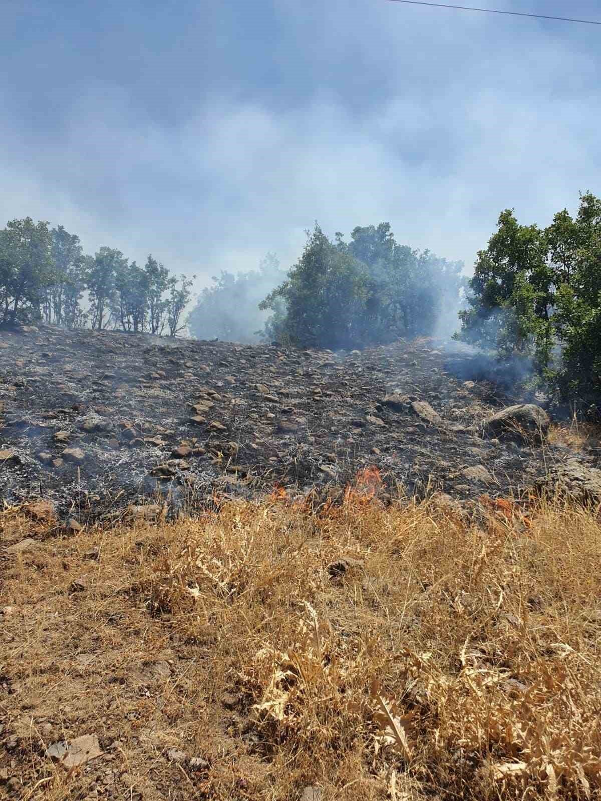 Bingöl’de çıkan orman yangını büyümeden söndürüldü