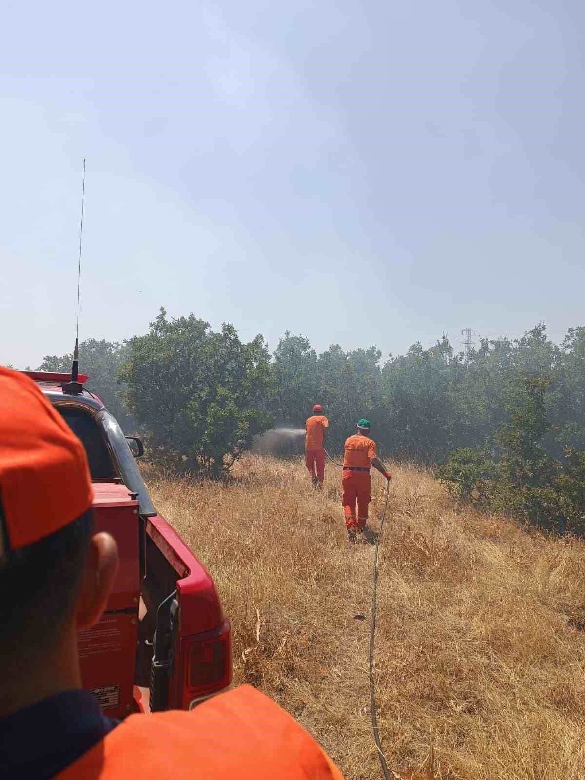 Bingöl’de çıkan orman yangını büyümeden söndürüldü